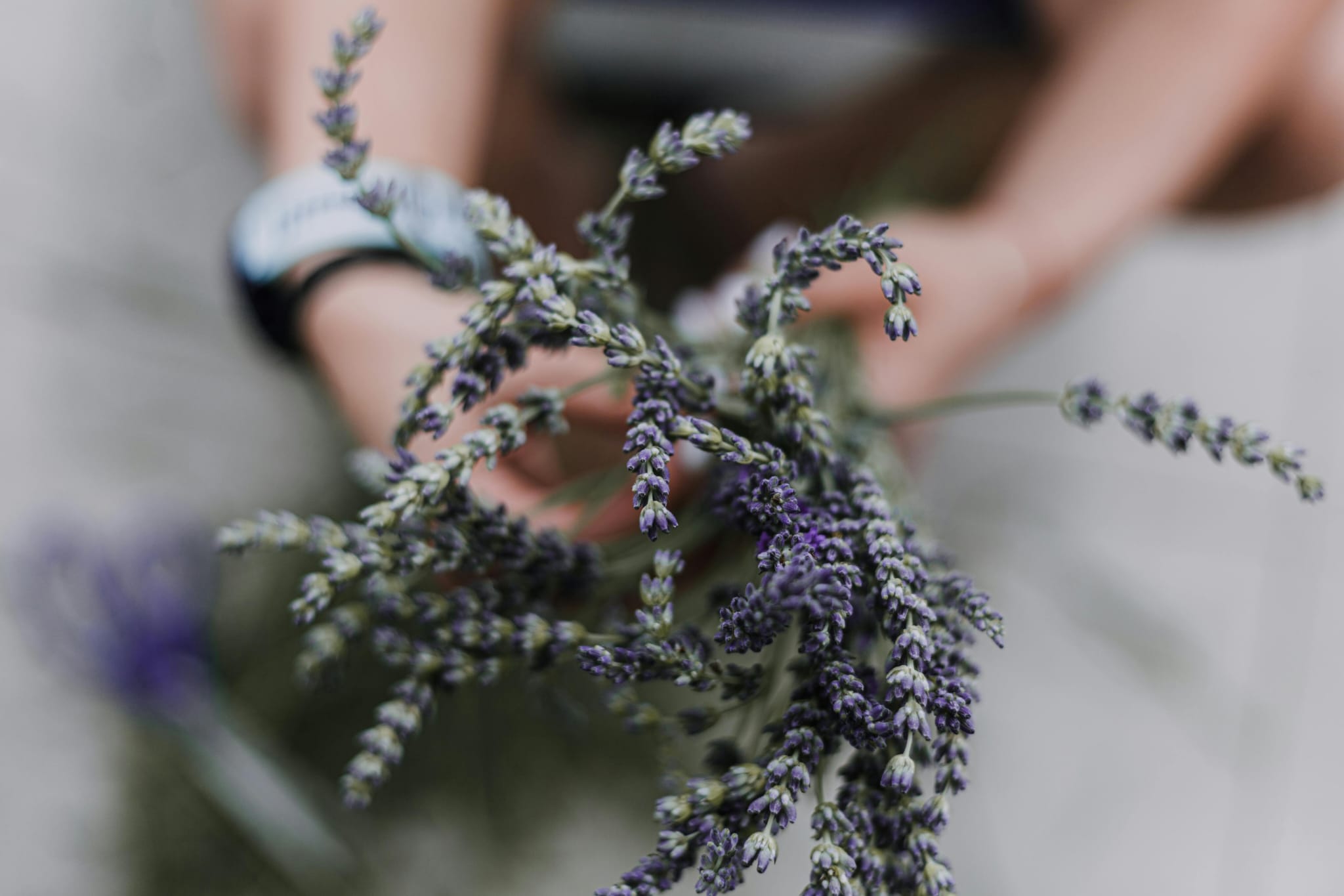 Sfondo Contatti Manuela Aires